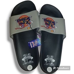 NWT Luney Tunes Space Jam Slide Sandals Size Adult Large 11/12
